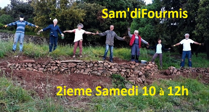 SamdiFourmis